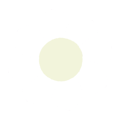 白いお花のイラスト