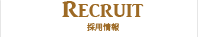 採用情報
