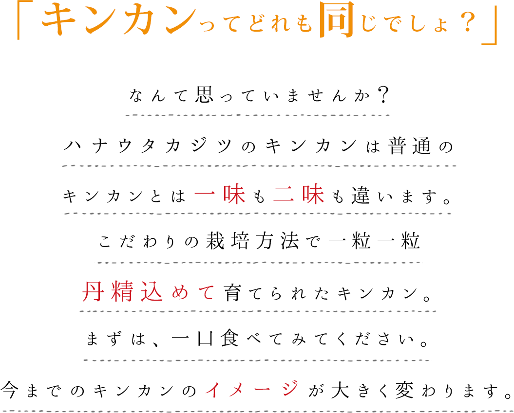 キンカンってどれも同じでしょ？ なんて思っているあなた！！ 一度ハナウタカジツのキンカンを食べてみてください。 その常識が変わります。