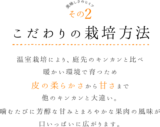 美味しさのヒミツその2 徹底した温度管理 温室栽培により庭先のキンカンと比べ 暖かい環境で育つため 皮の柔らかさから 甘さまで他のキンカンと大違い