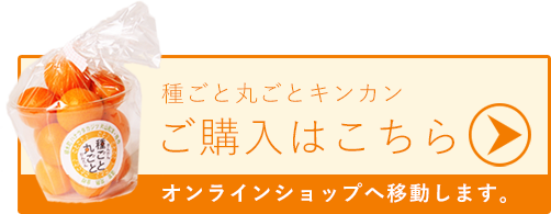 ご購入はこちら