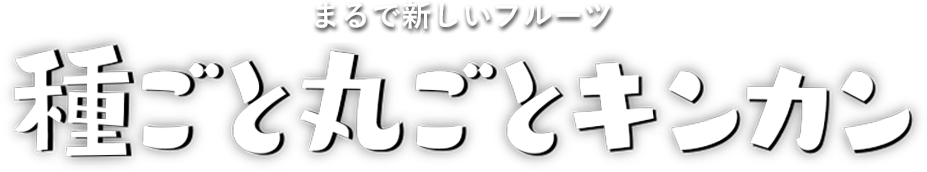 まるで新しいフルーツ 種ごと丸ごとキンカン