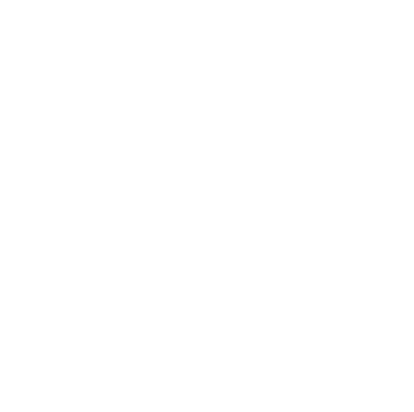 kawakamisaketen