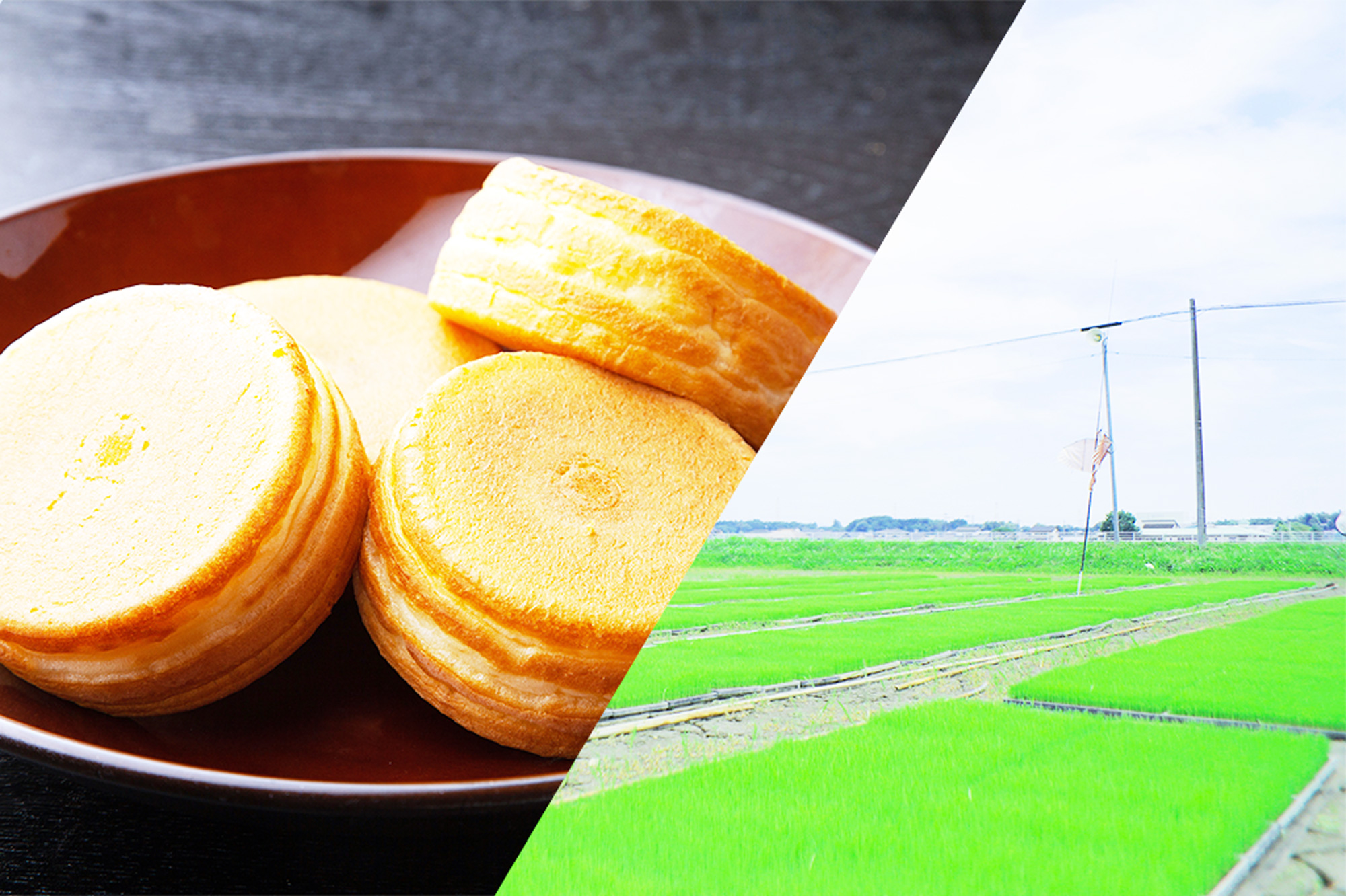 回転焼きと田んぼの写真