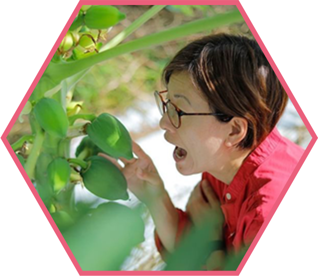 アグロッカの農業女子メンバー