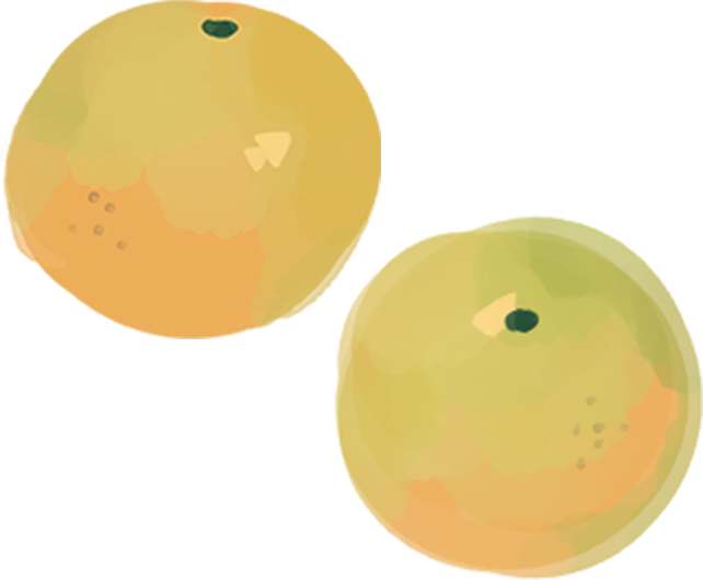 みかんのイラスト