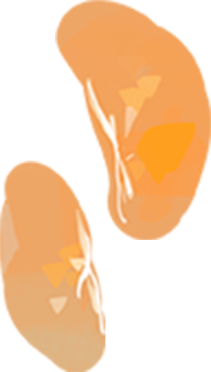 みかん粒のイラスト