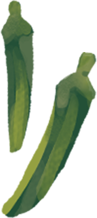 オクラのイラスト