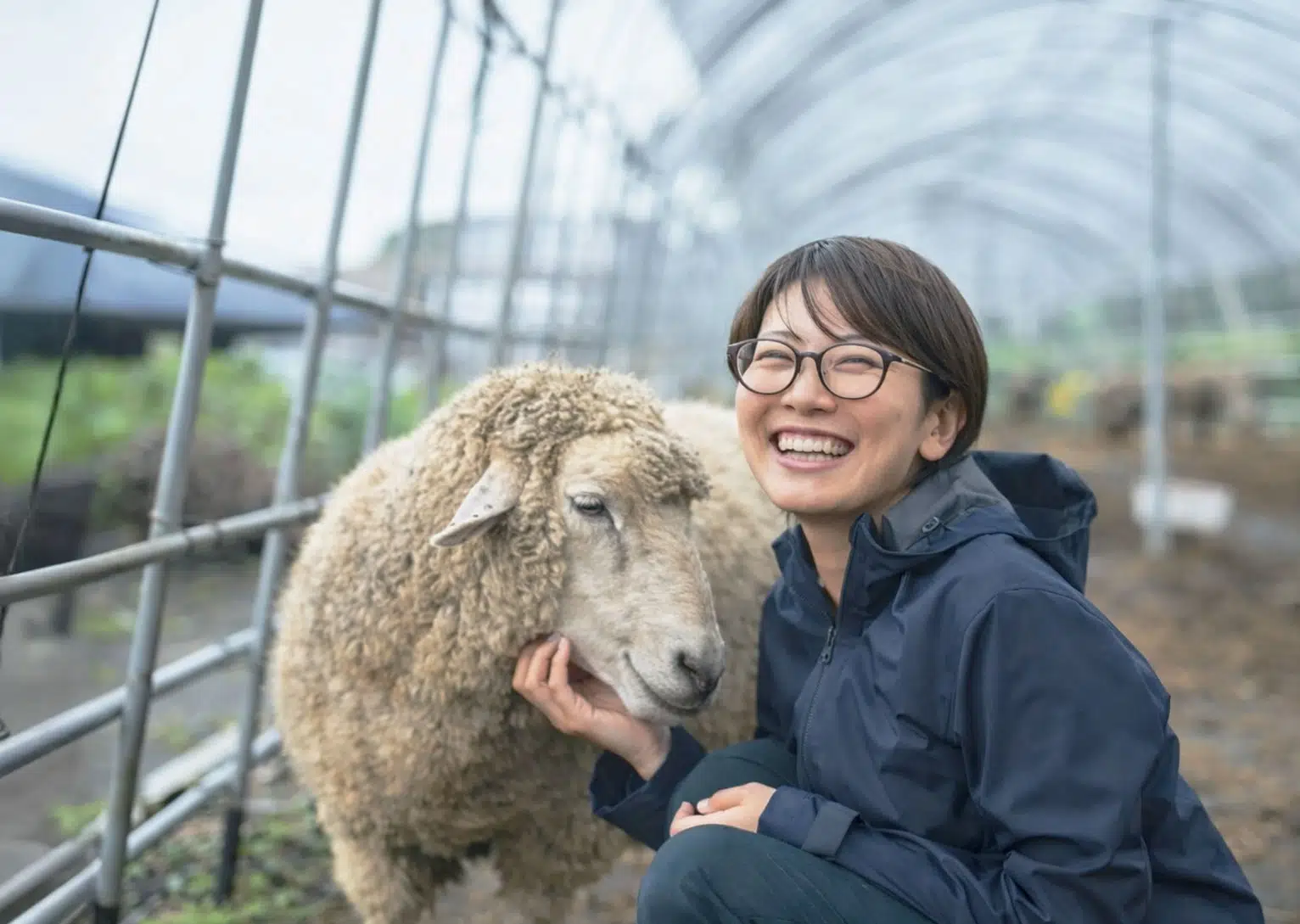 AguRokkaメンバー画像