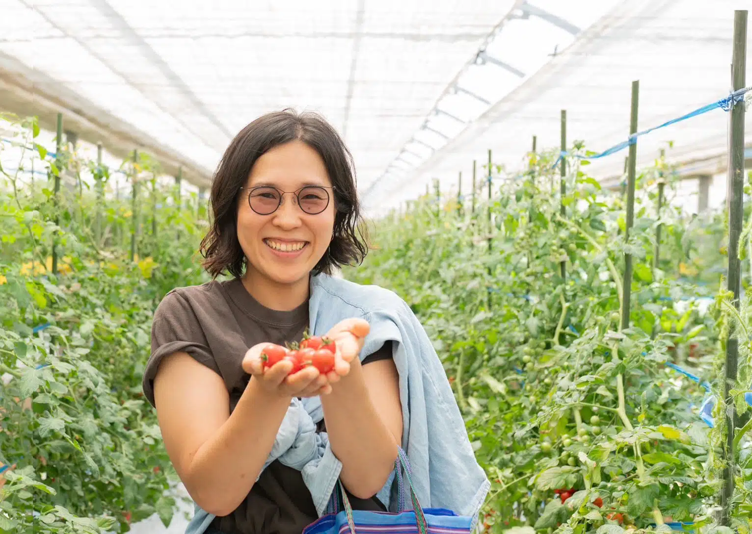 AguRokkaメンバー画像