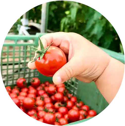 メンバーのアイコン