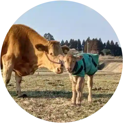 メンバーのアイコン