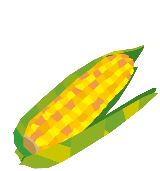 とうもろこしのイラスト