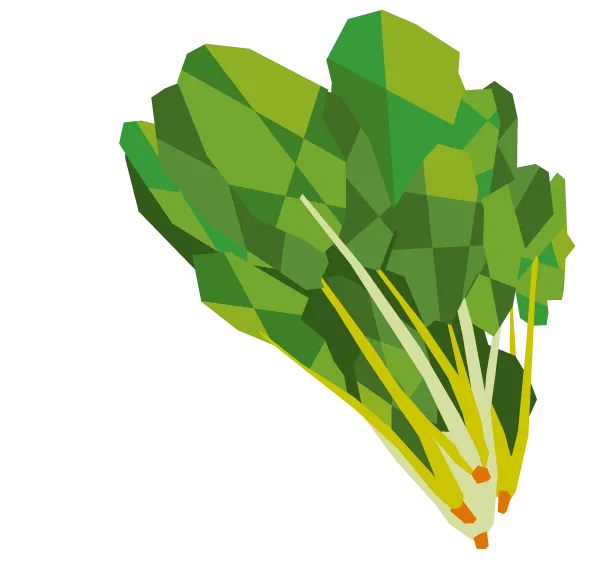 ほうれん草のイラスト