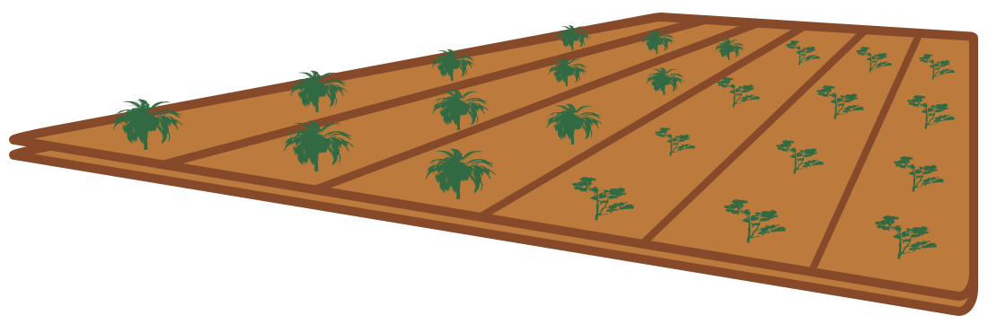 畑のイラスト（左向き）