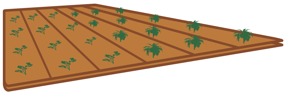 畑のイラスト（右向き）