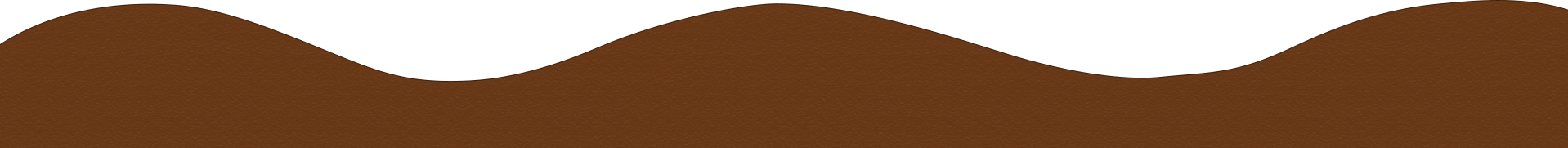 土の上のイラスト