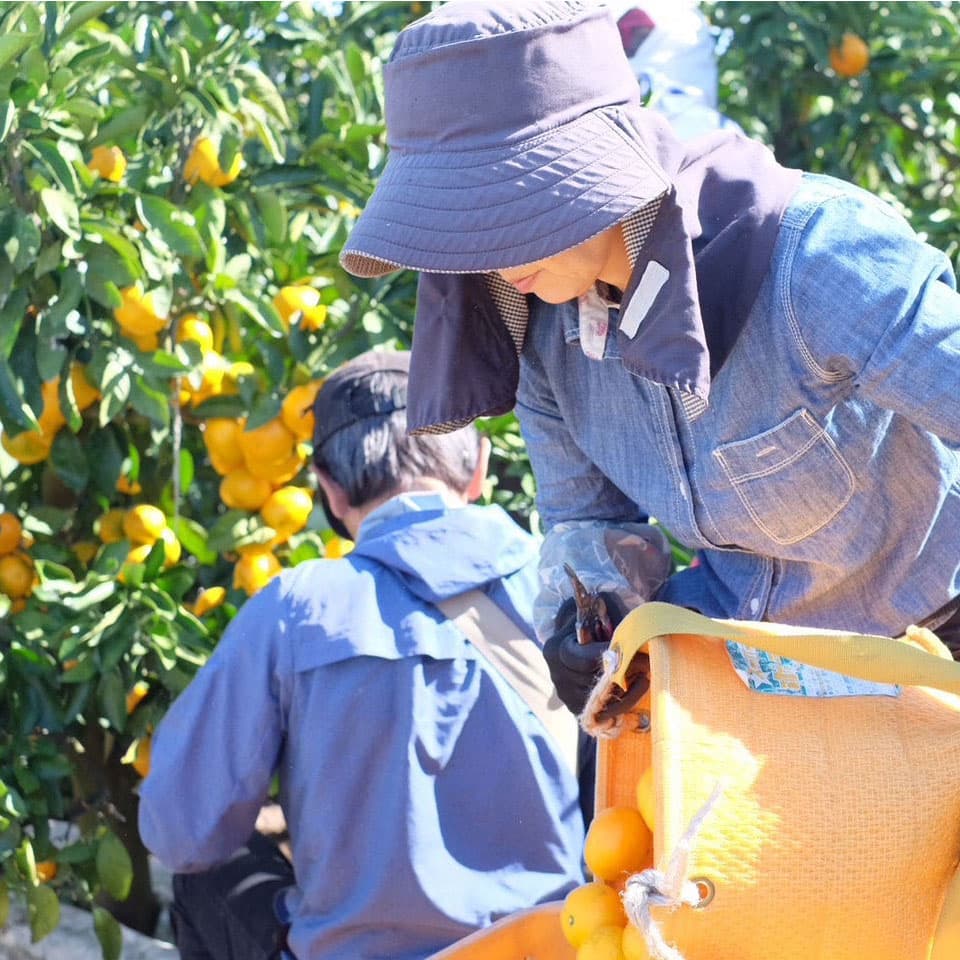 杉本さんの写真