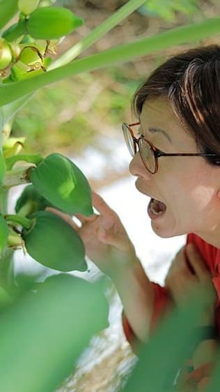 果実と農業女史の写真