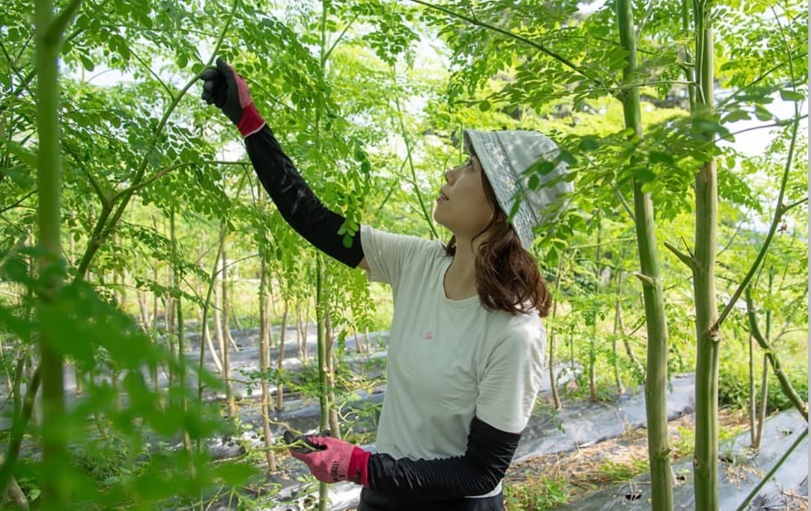 ギャラリー画像1