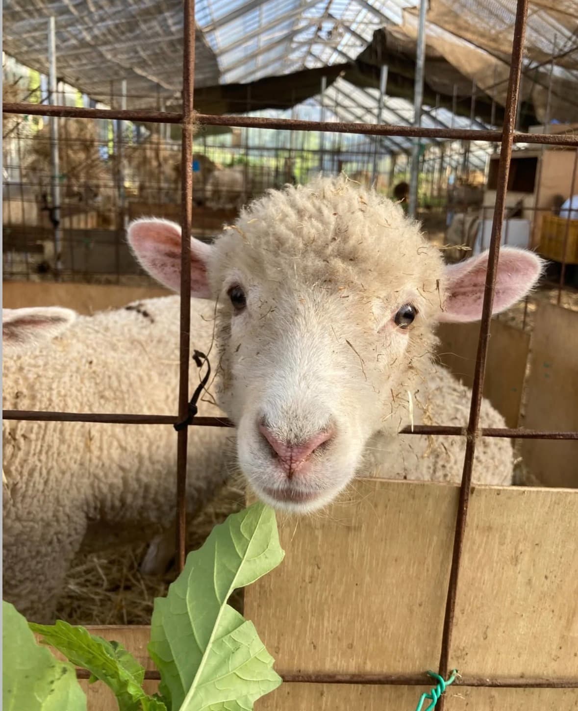 ギャラリー画像2