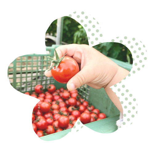 ファーストビュー画像2