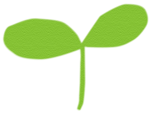 双葉のイラスト風画像