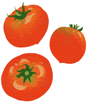 トマトのイラスト